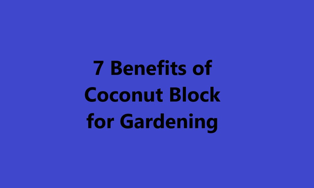 Coconut Block for Gardening