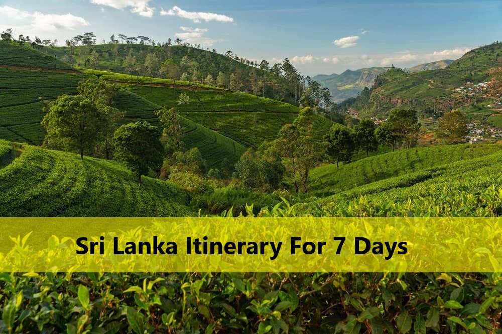 Sri Lanka Itinerary For 7 Days